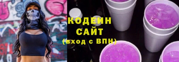 ECSTASY Богданович