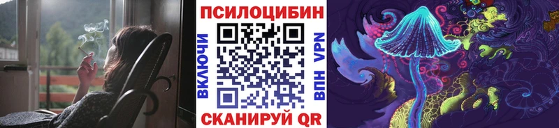 Галлюциногенные грибы Psilocybe  Хотьково 